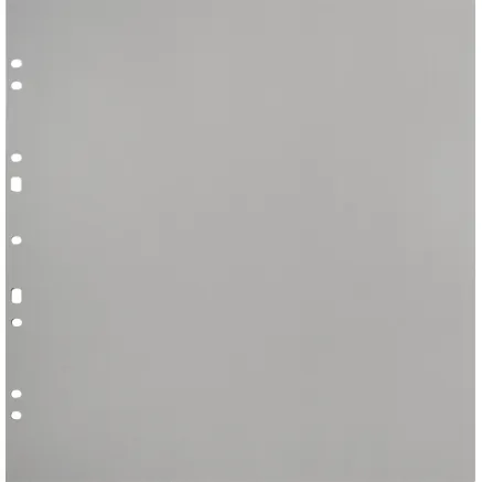 FOCUS CARTON REFILLSHEETS FOR RINGBINDER GIGANT GREY 10-PACK 134081