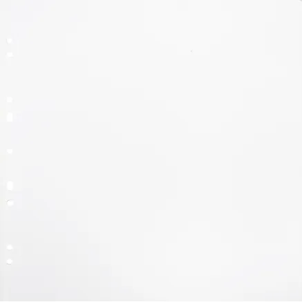 FOCUS CARTON REFILLSHEETS FOR RINGBINDER GIGANT WHITE 10-PACK 134082