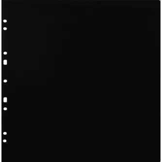 Photo Albums - FOCUS CARTON REFILLSHEETS FOR RINGBINDER GIGANT BLACK 10-PACK 134083 - quick order from manufacturer