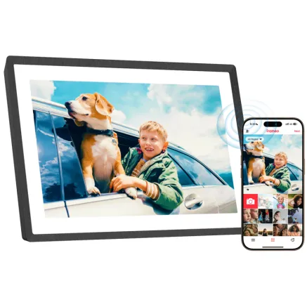 LEXAR I PEXAR DIGITAL PICTURE FRAME I 10.1-INCH (BLACK) EXPANDABLE WITH 32GB SD CARD OR USB FLASH PX-101TGRYGL