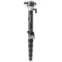 Monopods - Benro MSDPL46C SupaDupa Monopod - buy today in Master Foto store and with delivery