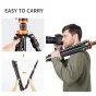 K&F Concept K234A7+BH-28L Compact Tripod 200cm