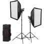 GODOX Litemons LA200Bi 2-light kit
