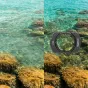 SmallRig Black/White Mist Filter & CPL Filter Set for DJI Osmo Pocket 3