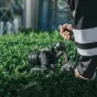 TTArtisan FF 50mm T2.1 RF