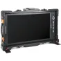 Desview V21