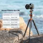 K&F Concept K&F T255A4+BH-28L Aluminum Video Camera Tripod