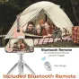 K&F Concept MS02 Mini Tripod