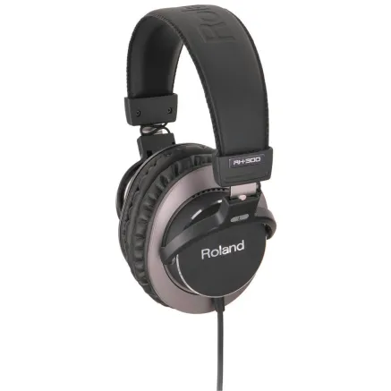 Roland RH-300 - Premium closed-back studio headphones with 45mm drivers