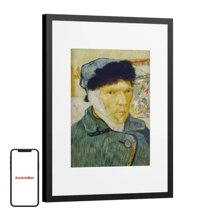 SwitchBot AI Art Frame 13.3