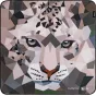 SmallRig 6038 šarvuotė su sniego leopardų raštu – stilingas geometrinis leopardų veido dizainas, skirtas apsaugoti kameras, objektyvus ir priedus
