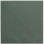 FOCUS žalias vokas 160x160 mm, 110 g, rūgšties neutralizuota popierius su lygiu paviršiumi, idealiai tinka kvitacijoms ir sveikinimo kortelėms, 50 vienetų paketas