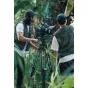 SmallRig T99 V-Mount baterijos blokas naudojamas su profesionalia kino kamera ant statyvo, lauko sąranka, pabrėžianti tvirtą aliuminio ir TPU konstrukciją.