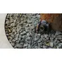 Tilta Canon PowerShot V1 kameros montuojama pagrindinė plokštė su medine rankena iš riešutmedžio, sumontuota ant kameros su prijungtu išoriniu mikrofonu gamtinėje aplinkoje