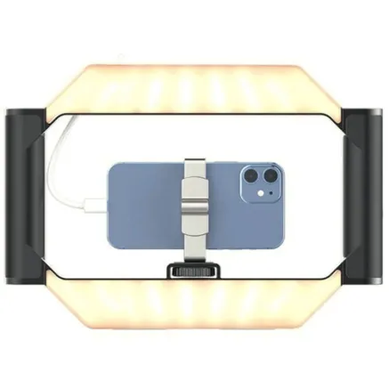 Ulanzi U-Rig Smartphone Video Rig with Light