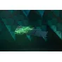 Razer keyboard Huntsman V2 Tenkeyless Purple Switch NO