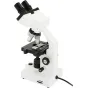 Celestron Labs CB1000CF mikroskopas su keturiais apkromatiniais objektyvais, koaksialiniais fokusavimo mygtukais ir reguliuojamu LED apšvietimu ant paprasto balto fono.