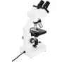Celestron Labs CB1000CF mikroskopas su binokuline galva, dviem objektyvais, mechanine scena ir reguliuojamu LED apšvietimu ant švaraus balto fono.