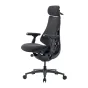 LiberNovo Omni Pro ergonominė kėdė su aukšta atlošu, galvos atrama, porankiais ir kvėpuojančia medžiaga visai dienai komfortui