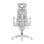 LiberNovo Omni GEN 45 cm ergonominė kėdė su aukšta atlošu, reguliuojamu juosmens palaikymu ir moderniu dizainu, įskaitant porankius ir penkių žvaigždučių pagrindą su ratukais.