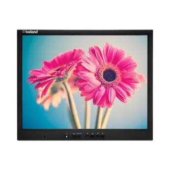 15 colių Boland TP15DB LED Broadcast Monitor, rodantis aukštos raiškos rožinius gėles su žaliais stiebais švelniame mėlyname fone