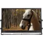 Boland LVB23 LED Broadcast Monitor 23 inch - Aukštos raiškos ekranas su baltu arkliu miško aplinkoje