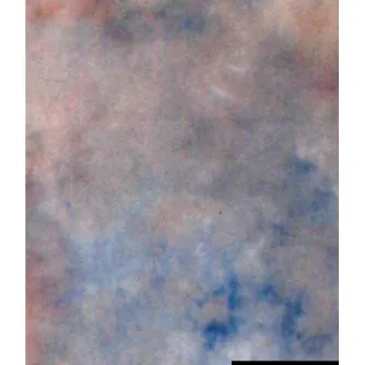 Foto foni - Falcon Eyes Background Cloth S122 2,9x7 m - ātri pasūtīt no ražotāja