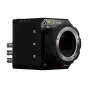 Z CAM E2-S6 Mark II Super 35mm 6K kino kamera su EF objektyvu, šoninėmis XLR jungtimis ir viršutiniais valdymo mygtukais