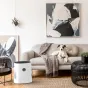 BONECO Humidifier Air Washer W220 baltasis įrenginys su žaliu indikatoriumi ant austos kilimėlio šviesiame svetainėje šalia bėžinio sofos, ant kurios guli šuo
