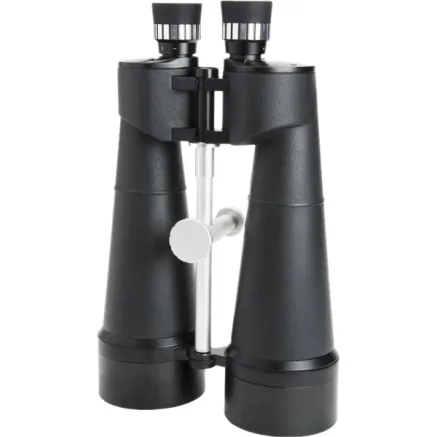Celestron Skymaster 25x100
