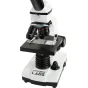 Labs CL-CM800