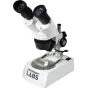 Celestron Labs S10-60 stero mikroskopas su dviem 10x okuliarais, 1x ir 3x objektyvais, metaliniu korpusu ir LED apšvietimu, su skaidriu laukeliu, kuriame yra insekto pavyzdys.