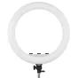 MITOYA MTY-21C 53 cm dviejų spalvų LED žiedinė lempa ant stovo, priekinis vaizdas: baltas difuzorius, galinis skydelis su trimis juodais reguliavimo mygtukais ir kamuoliuko tvirtinimu.