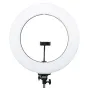LED ring lamp MITOYA RL-480 45cm Bi-color