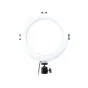 Kompaktiškas 20 cm MITOYA YQ-8 USB‑maitinamas mini LED žiedinis šviesos šaltinis su baltu difuzoriumi, juodas tvirtinimo laikiklis su trikojų lizdu ir USB kabeliu, 80 SMD LED, 3 spalvų temperatūros ir 10 ryškumo lygių.