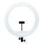 MITOYA MTY-18C WHITE 45 cm dviejų spalvų LED žiedinė lempa su 240 LED, 50 W, 90+ CRI, sklandžiu galios ir spalvos temperatūros reguliavimu, su integruotu lanksčiu telefono laikikliu ir juodu montavimo pagrindu su reguliavimo myg