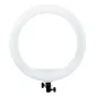 MITOYA MTY-18C balta 45 cm bi‑spalvė LED žiedinė lempa su 240 LED, 50 W, 90+ CRI, juodu montavimo laikikliu ir telefono laikikliu