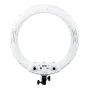 MITOYA MTY-18C WHITE 45 cm LED žiedinė lemputė su valdymo pultu, maitinimo jungikliu, spalvų temperatūros reguliatoriumi, USB įkrovimo prievadu ir 26 V maitinimo įėjimu, matoma iš priekio prieš baltą foną