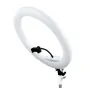 LED Ring Lamp MITOYA MTY-18C WHITE 45cm Bi-color