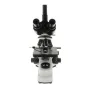 Mikroskopi - Byomic Study Microscope BYO-500T - ātri pasūtīt no ražotāja