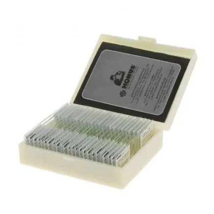 Konus Preparation Set Reproduction Of Plants (10 Stuks)