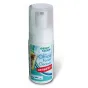Green Clean tīrīšanas putas Office Cleaner DESINFECT 100ml C-2140