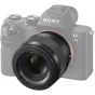 Mirrorless Lenses - Sony FE 50mm F1.8 (Black) (SEL50F18F) - quick order from manufacturer