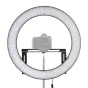 LED Gredzenveida lampas - Falcon Eyes LED Ring Lamp Dimmable DVR-512DVC on 230V - ātri pasūtīt no ražotāja
