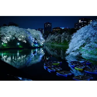 Produkto paveikslėlis