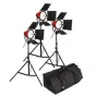 Discontinued - StudioKing Falcon Eyes Halogen Light Video Set TLR800
