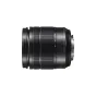Mirrorless Lenses - Panasonic LUMIX G Vario 12-60mm f/3.5-5.6 Asph. Power O.I.S (H-FS12060) - quick order from manufacturer