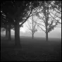 Photo films - KODAK TRI-X ISO400 120 filmiņa PROFESSIONAL - buy today in Master Foto store and with delivery