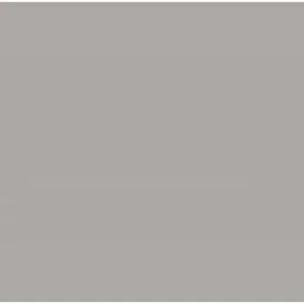 Foto foni - Falcon Eyes Background Cloth BCP-03 2,9x5 m Grey Washable - ātri pasūtīt no ražotāja