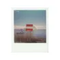 Instantkameru filmiņas - POLAROID ORIGINALS COLOR FILM FOR SX-70 - ātri pasūtīt no ražotāja